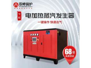 电加热蒸汽发生器 