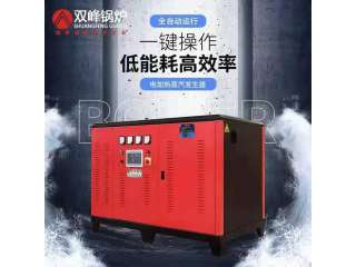 电加热蒸汽发生器